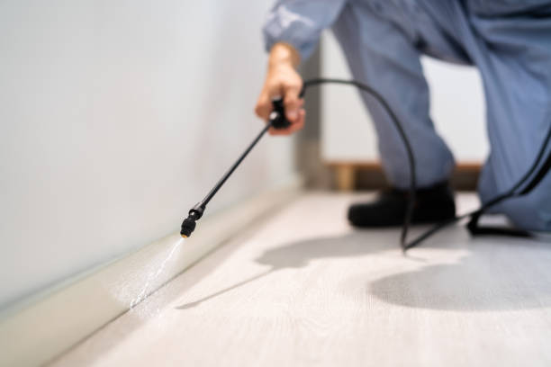 Licensed Mosquito Control service in Yoakum, TX - Show Me Pest Control