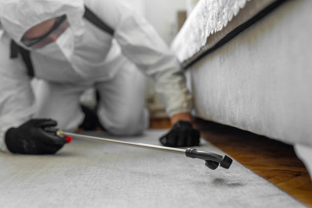 Professional Ant Control technician working in Yoakum, TX