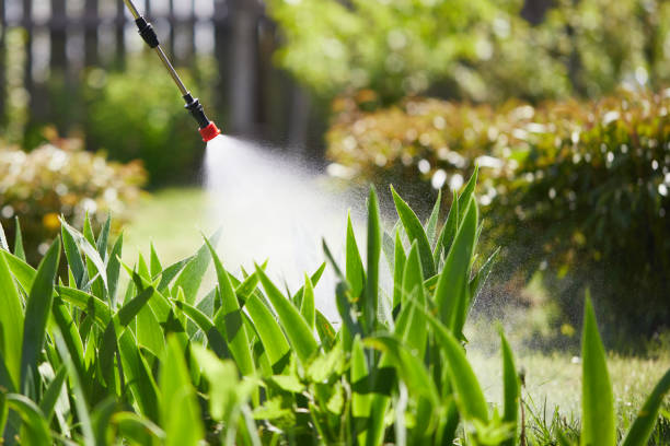 24/7 Emergency Mosquito Control experts in Yoakum, TX