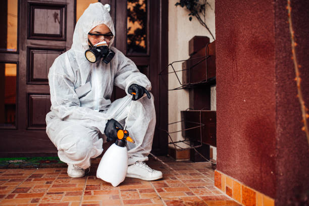 Reliable Mosquito Control contractor in Yoakum, TX by Show Me Pest Control